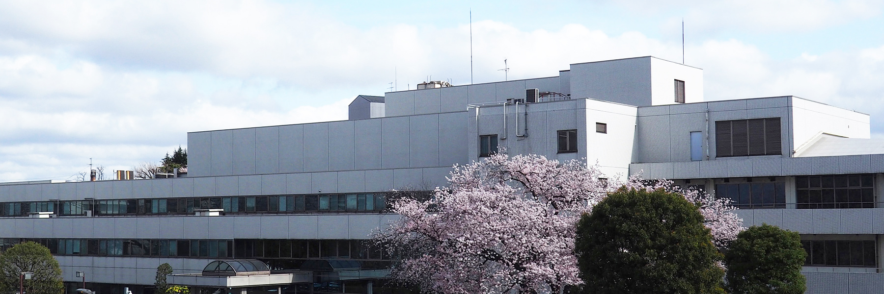 Tokyo Metropolitan Cancer Detection Center