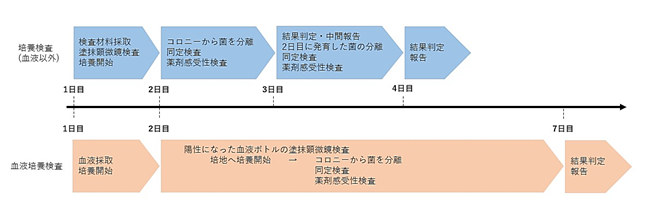 検査の流れ