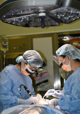 歯科口腔外科 診療科の特色